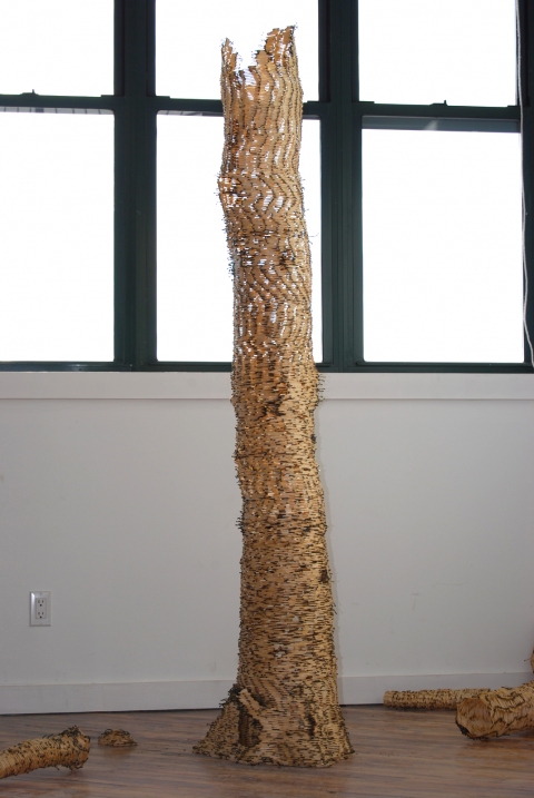 Anne Peabody Sick Tree, 2008 : Gallery 105, Brooklyn, New York 