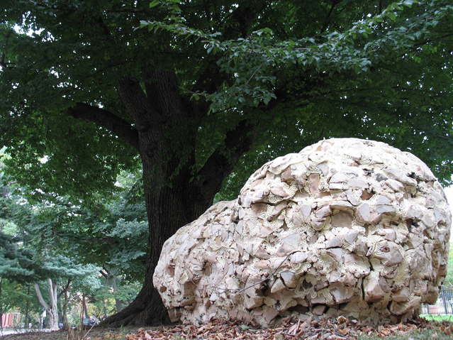 Anne Peabody Fallen Nest, 2007 : Fort Greene Park, Brooklyn, New York 