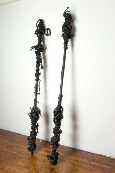 Sheena Ladders mixed media: rope, wood, and latex paint
