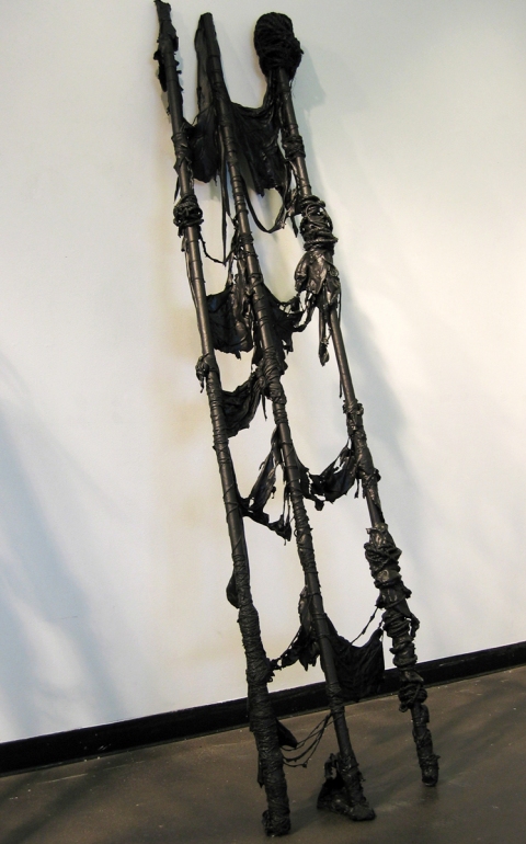 Ladder Ladders mixed media: rope and latex paint