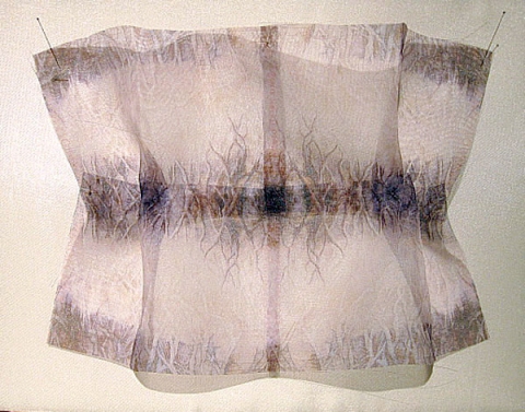 ANN STODDARD 2010-11 "Collecting" series Digital print on organza, thread, insect pins