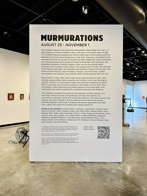 ANN STODDARD Murmurations  
