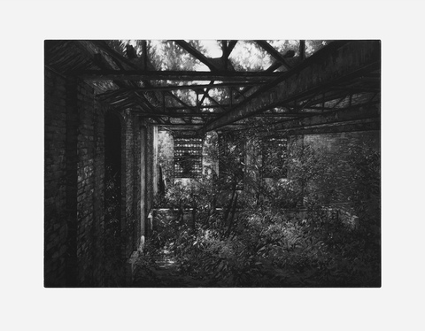 Aspinwall Editions Stefanie Hofer Aquatint and soft ground etching