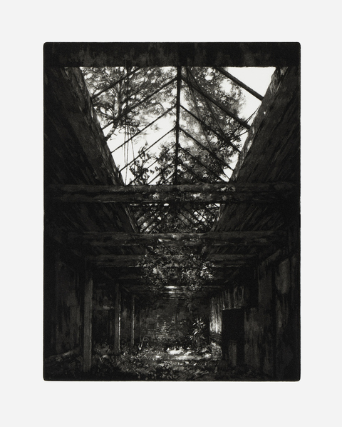 Aspinwall Editions Stefanie Hofer Aquatint and soft ground etching