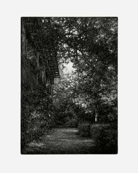 Aspinwall Editions Stefanie Hofer Aquatint and soft ground etching