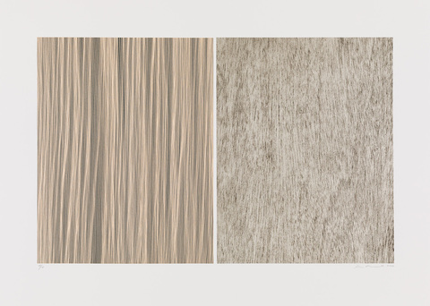 Aspinwall Editions Understory I–III Screenprint and intaglio