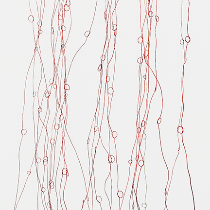 Barbara Hatfield  Wall drawings coated copper wire