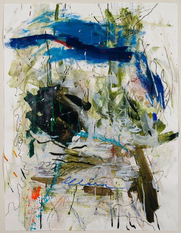 Barbara Straussberg Valley Green Acrylic, Graphite and Oil Pastel on Paper