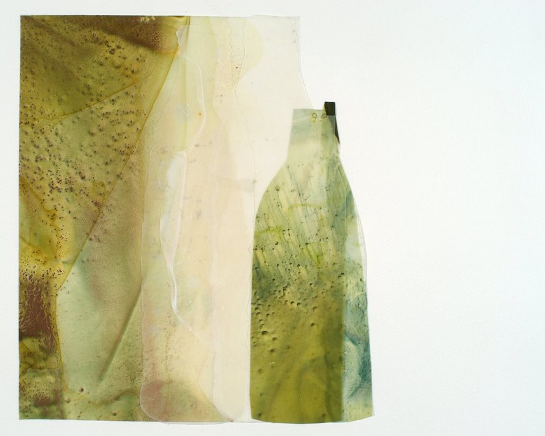 Beth Haber Vessels acrylic on mylar