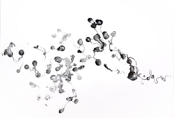 Betsy Eby 2011 Finger Exercises  ink on polypropylene paper