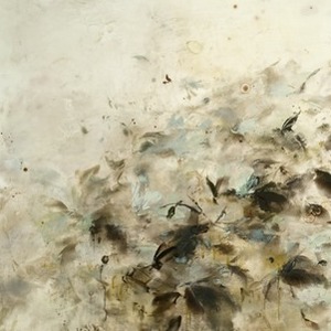 2011 