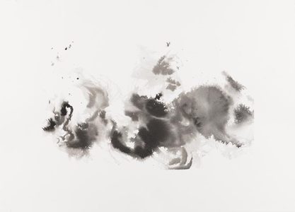 2012 Sumi Ink Studies 