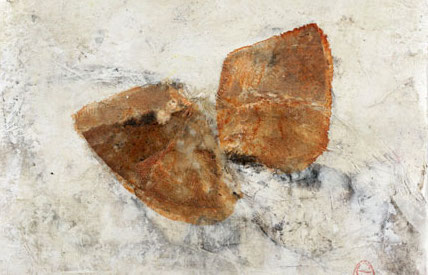 2006 Material Drawings 