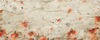 Carousel artwork image 1004
