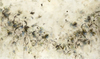 Carousel artwork image 1026