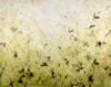 Carousel artwork image 1039