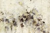 Carousel artwork image 1049