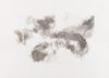 Carousel artwork image 1055