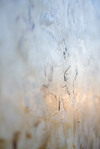 Carousel artwork image 1134