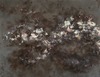 Carousel artwork image 1207