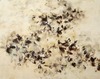 Carousel artwork image 1211