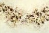 Carousel artwork image 1219