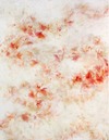 Carousel artwork image 1226