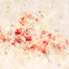 Carousel artwork image 1227