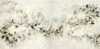 Carousel artwork image 1229