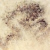 Carousel artwork image 1234