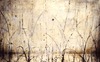 Carousel artwork image 1266