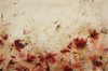 Carousel artwork image 1280