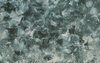 Carousel artwork image 1342