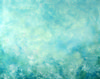 Carousel artwork image 1388