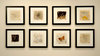 Carousel artwork image 848