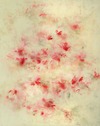 Carousel artwork image 851