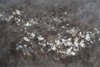 Carousel artwork image 855