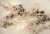 Carousel artwork image 857