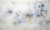 Carousel artwork image 862