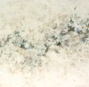 Carousel artwork image 865