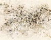 Carousel artwork image 868