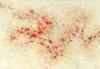 Carousel artwork image 894