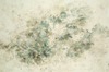 Carousel artwork image 915