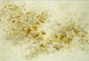 Carousel artwork image 920