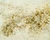 Carousel artwork image 921