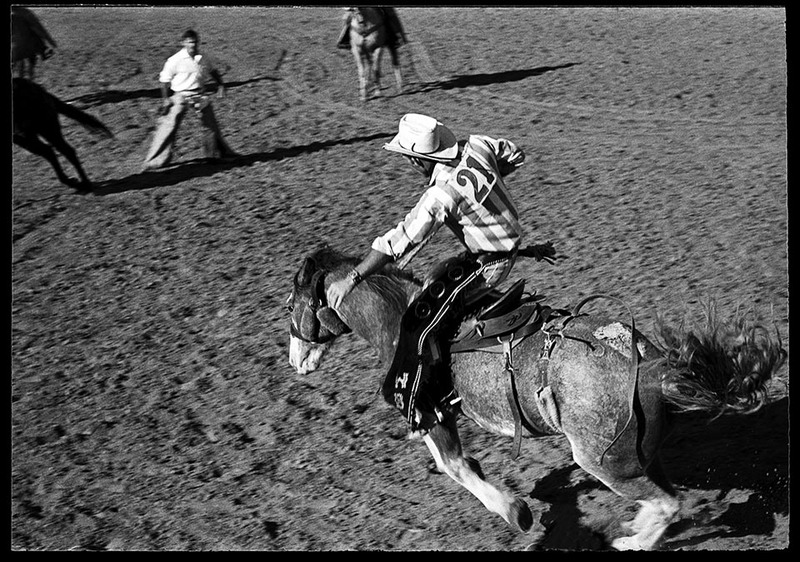 Bill Kennedy Photography Texas Prison Rodeo 