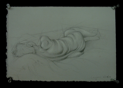 Bob Langnas Some Observational Work graphite and white pencil