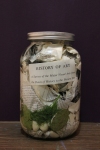  HAPPY ART HISTORY!  ART HISTORY TEXTS AND IMAGES PICKLED IN  WATER, VINEGAR, SALT, BAY LEAF, PEPPERCORNS, GAGLIC, DILL AND JUST A DASH OF ANISE SEED.
