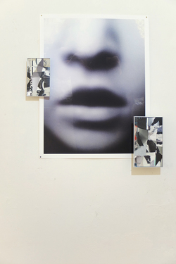Paul Bright Installation Views Paul Bright; de/collages, David Houston; digital prints