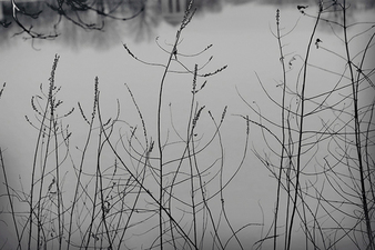 CANDACE DICARLO Winter Lakeside 